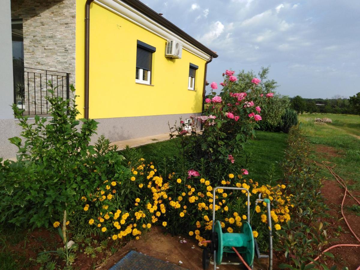 Holiday House Anita Umag Exterior photo